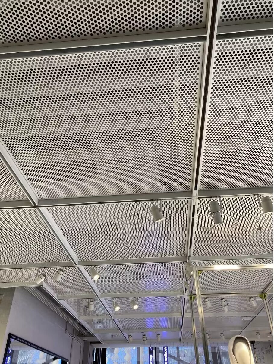 Perforated Metal Ceiling Panel