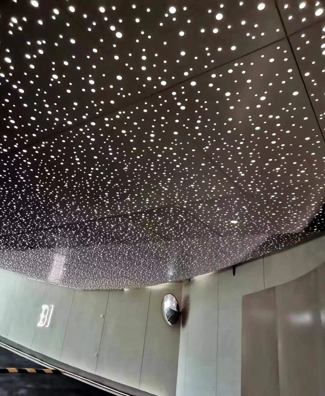 Perforated Metal Ceiling Panel