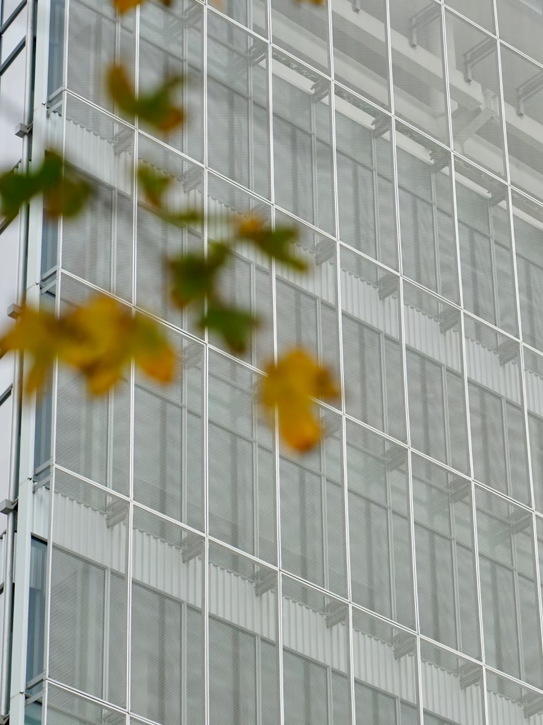 Expanded Panel For Cladding