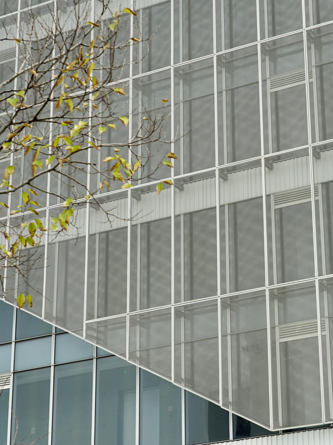 Expanded Panel For Cladding