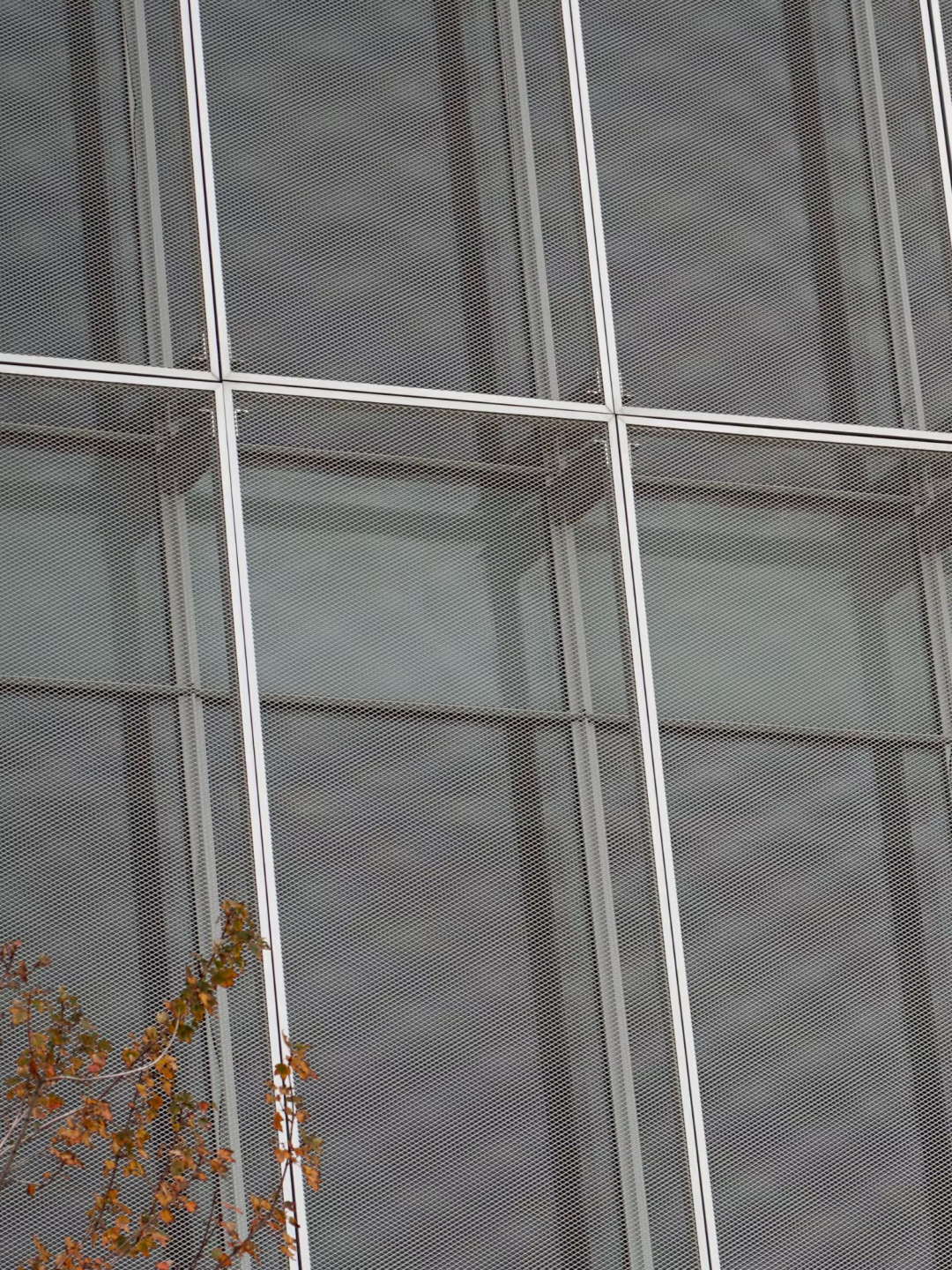 Expanded Panel For Cladding