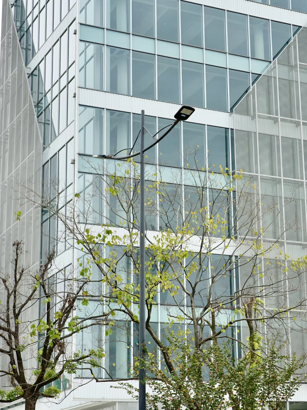 Expanded Panel For Cladding