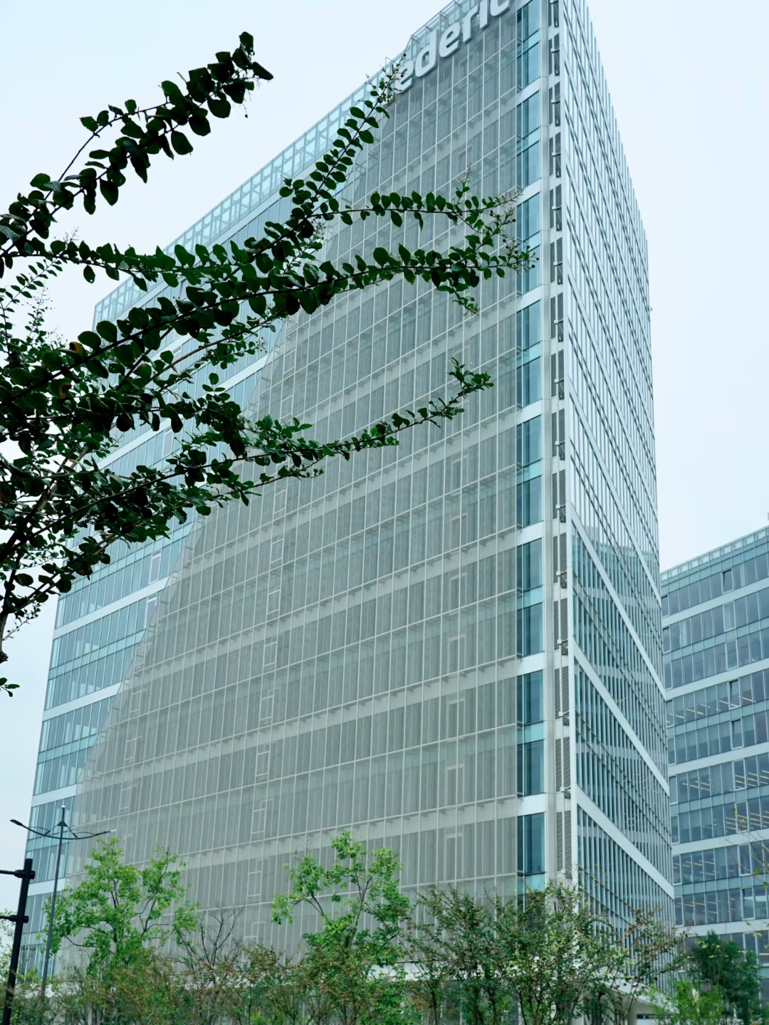 Expanded Panel For Cladding