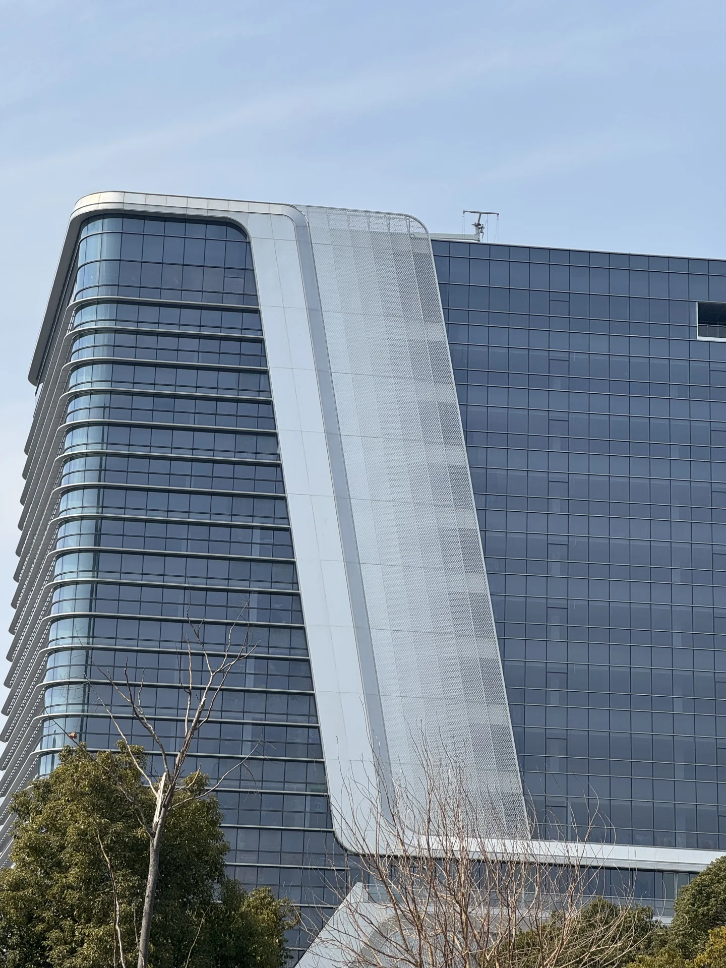 Expanded Panel For Cladding