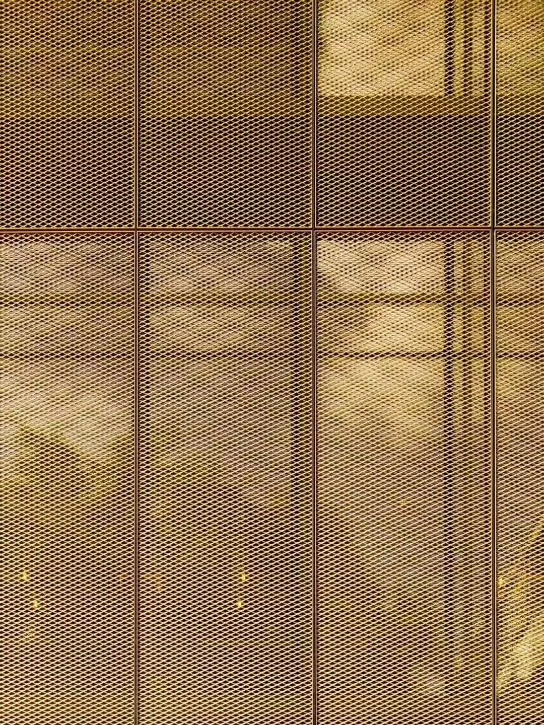 Expanded Panel For Cladding