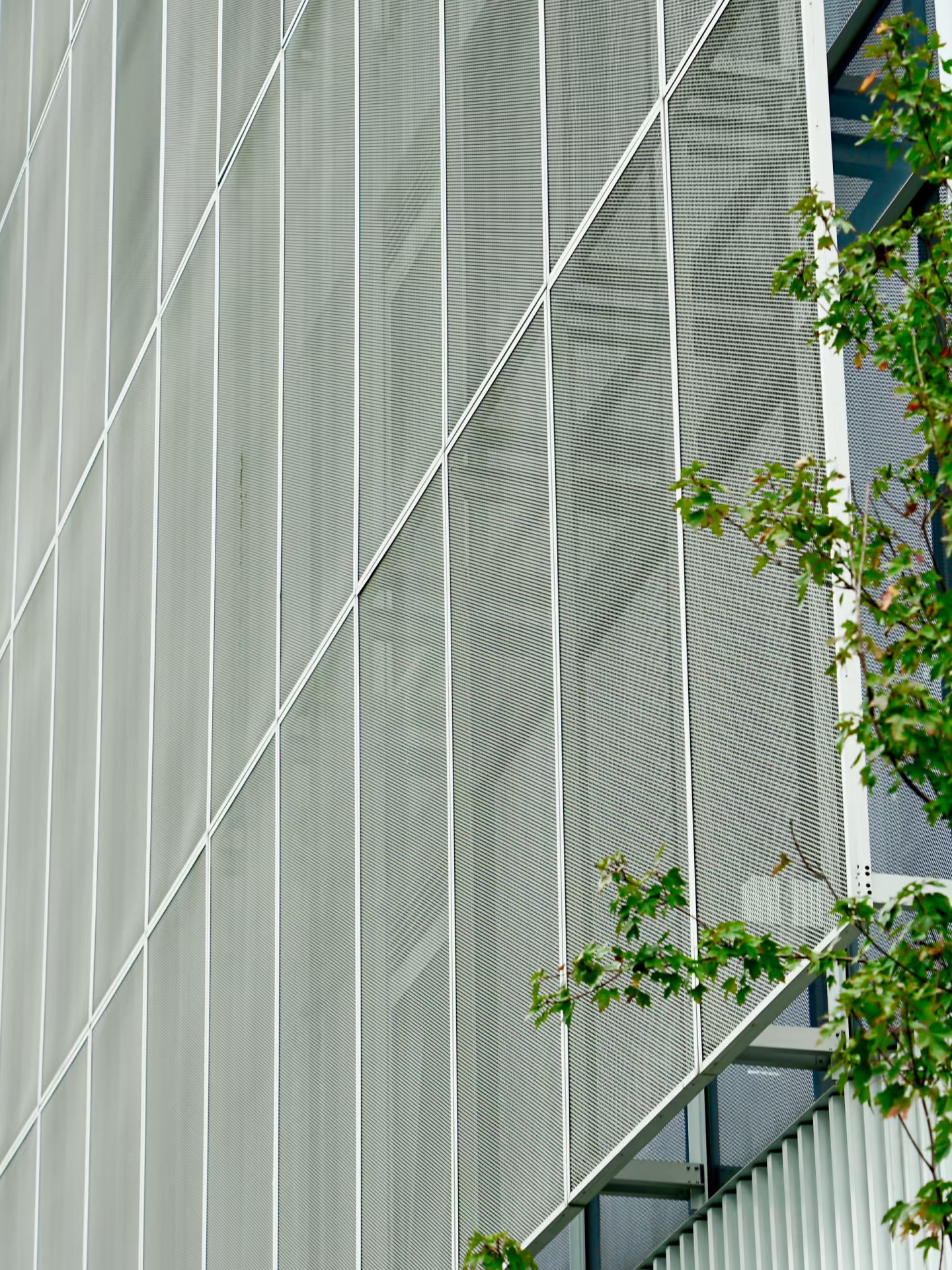 Expanded Panel For Cladding