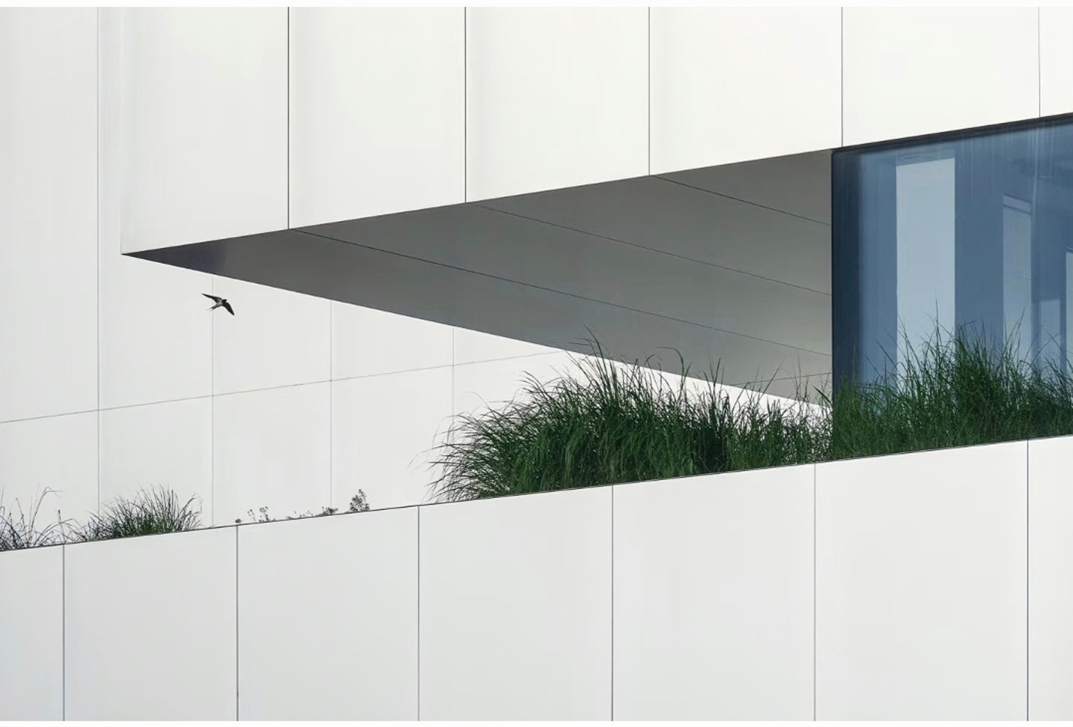 Aluminium Composite Panel