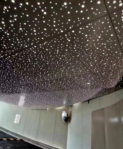 Perforated Metal Ceiling Panel