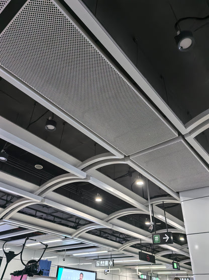 Expanded Mesh Panel Ceiling Plate