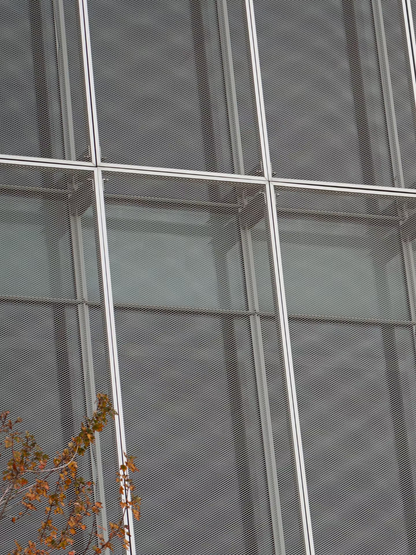 Expanded Panel For Cladding