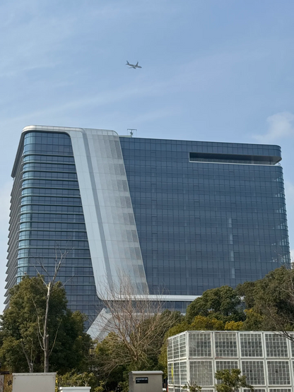 Expanded Panel For Cladding
