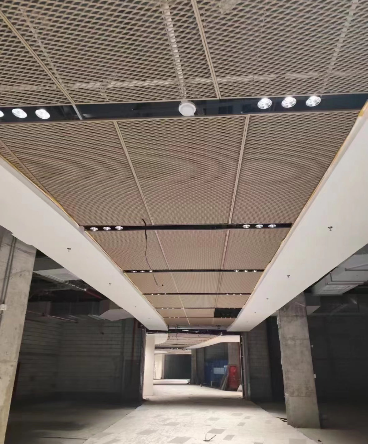 Expanded Mesh Panel Ceiling Plate