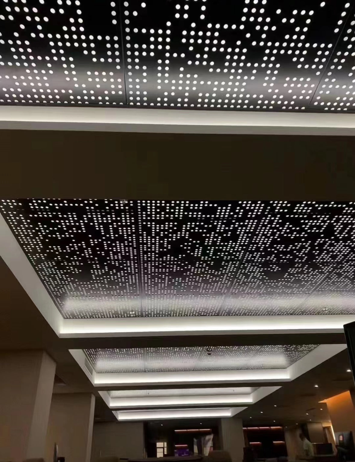 Perforated Metal Ceiling Panel