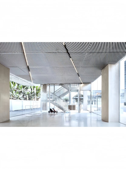 Expanded Mesh Panel Ceiling Plate