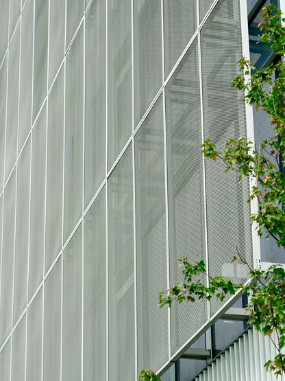 Expanded Panel For Cladding